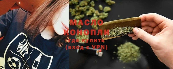 твердый Ельня