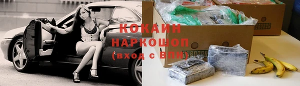 твердый Ельня