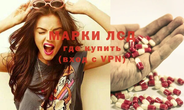 твердый Ельня