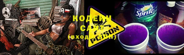 твердый Ельня