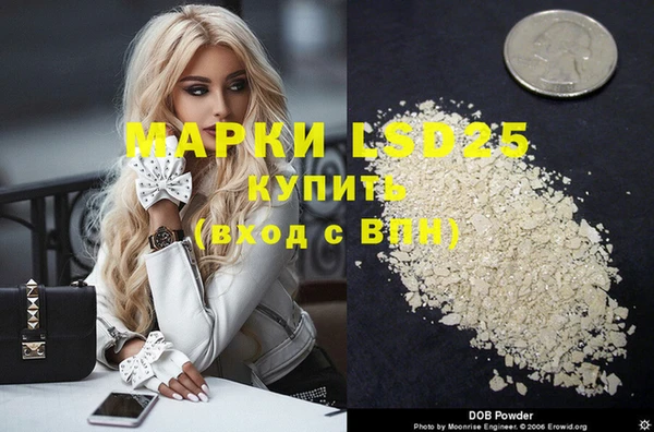 твердый Ельня